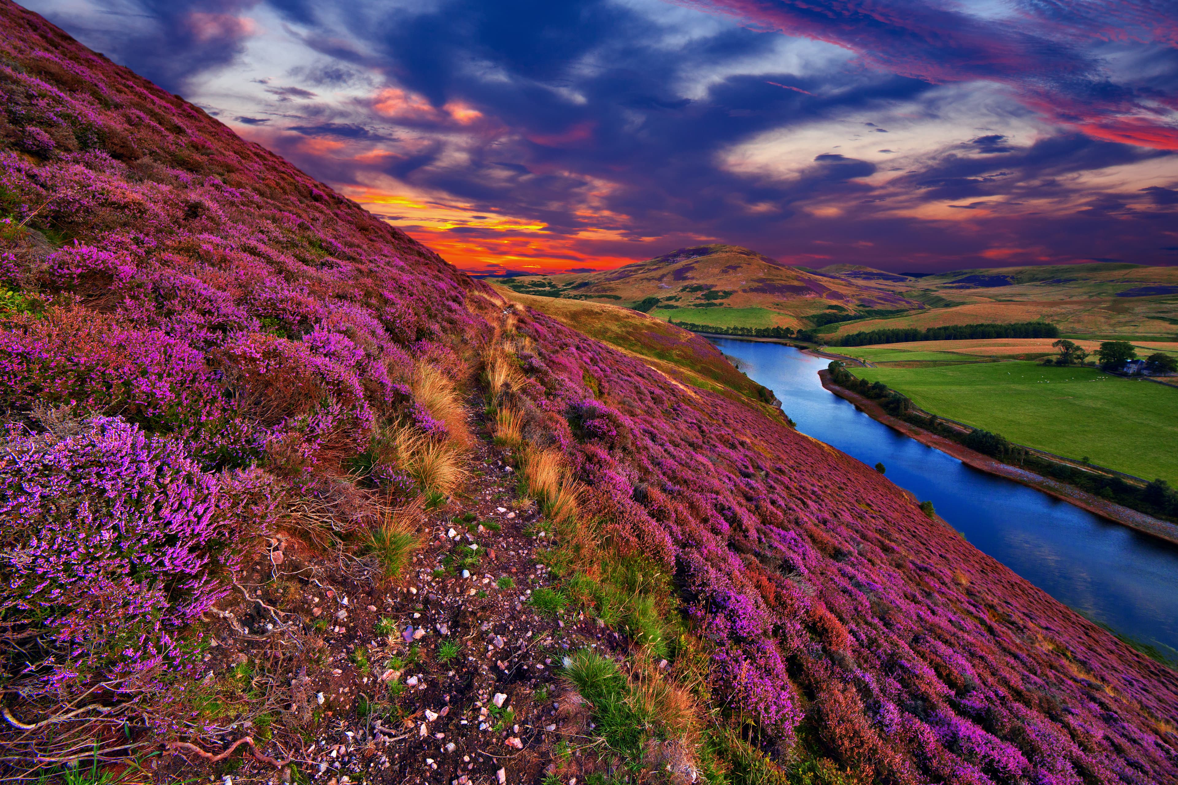Scotland’s whisky regions and their differing whisky flavours
