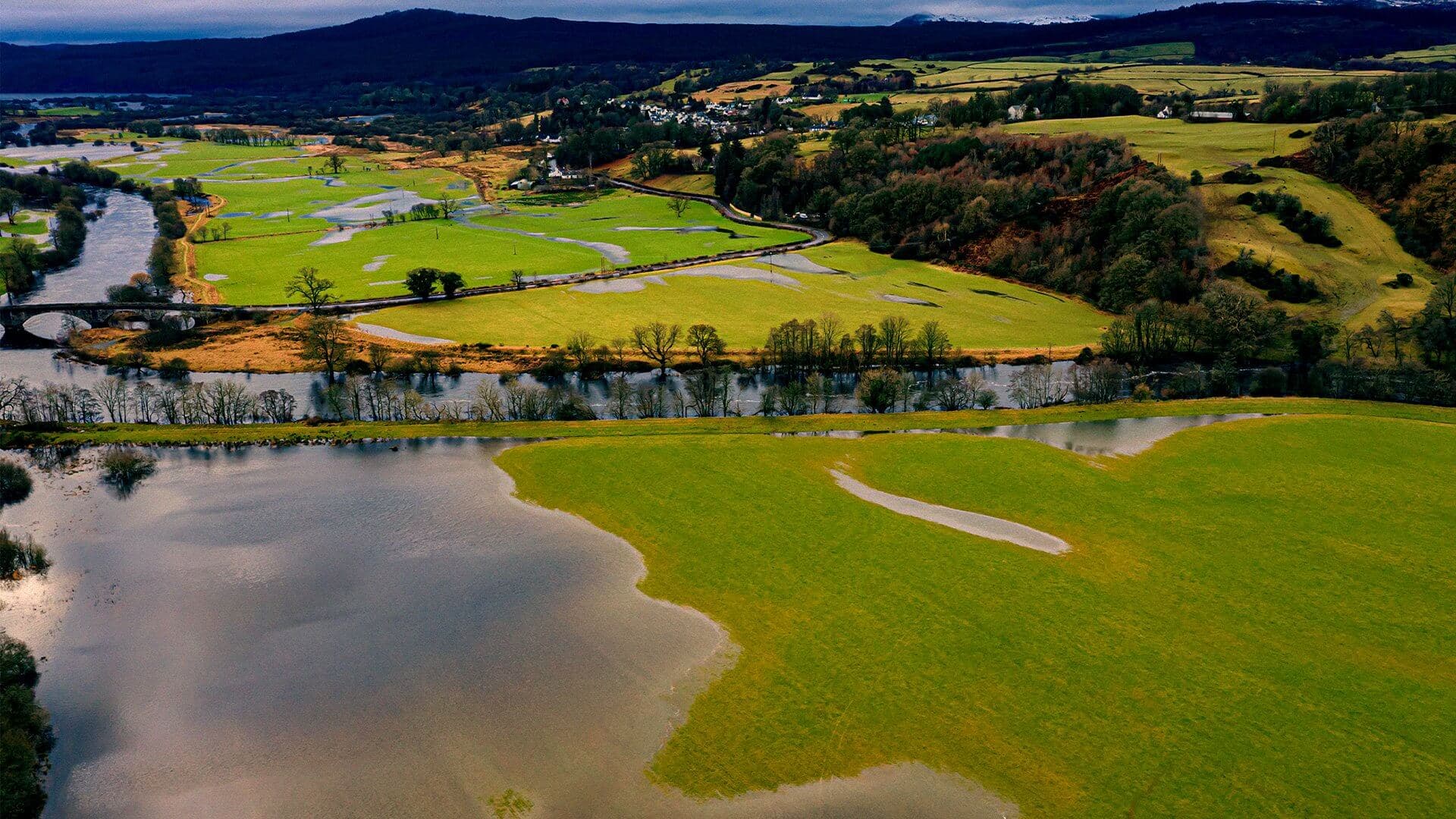 How will Scotch Whisky Survive the Climate Change?