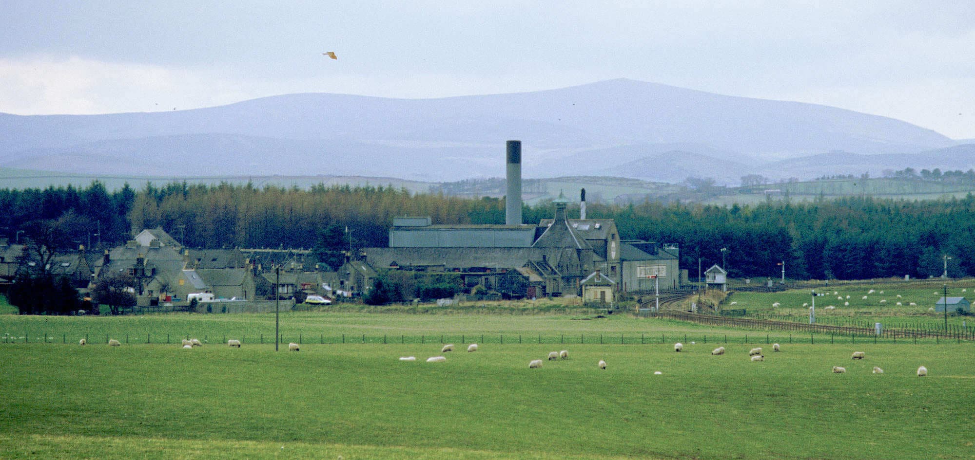 A look at the Ardmore Distillery